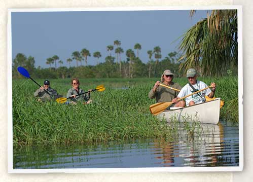 Photo of kayakers exploring the St. Johns River