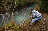 Photo of Jim Maher looking at polluted stream