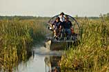 Photo of an airboat in a marsh
