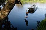 Photo of rope swing over the river
